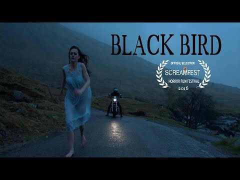 Blackbird'