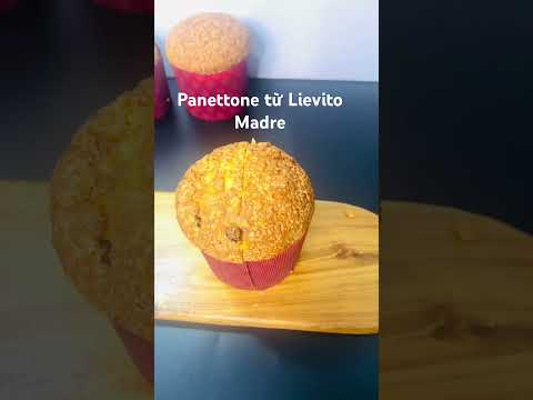 Panettone