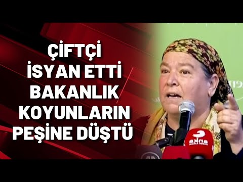 ÇİFTÇİ İSYAN ETTİ BAKANLIK KOYUNLARIN PEŞİNE DÜŞTÜ