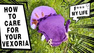 How to Care for YOUR Vexoria!