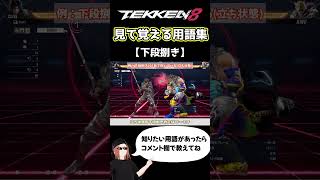 【鉄拳8】見て覚える用語集【下段捌き】