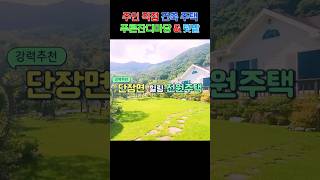 유튜브이미지