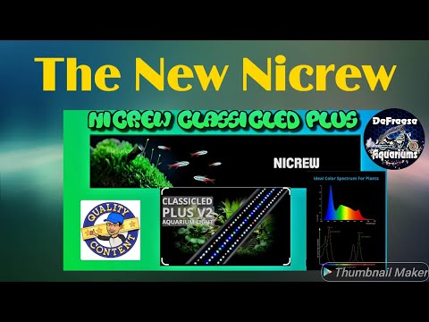 Nicrew ClassicLED Plus Aquarium Light #Fishtank #AquariumFish #Nicrew #aquariumlight #aquariumlight 

In this video, I will show you the n
