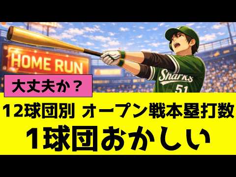 プロ野球12球団別、オープン戦のホームラン数、1球団おかしい