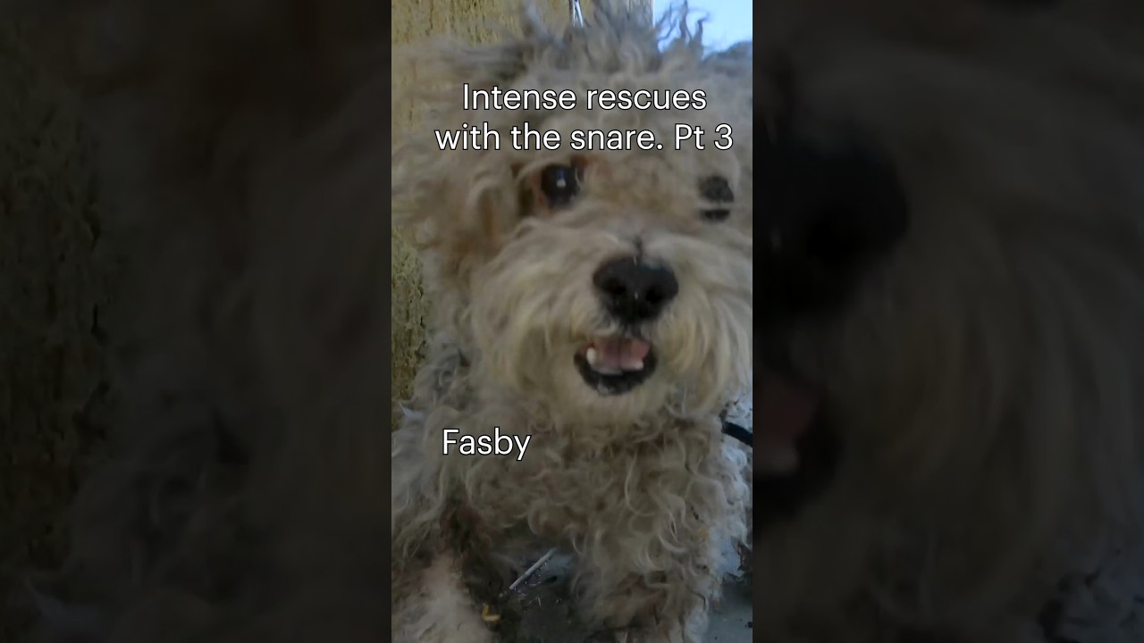 Snappy snare - part 3