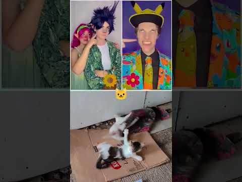 #duet #funny #straykids #<strong>kpop</strong> #asthetic #cat #trend #short #<strong>memes</strong> #noads #usa #edit