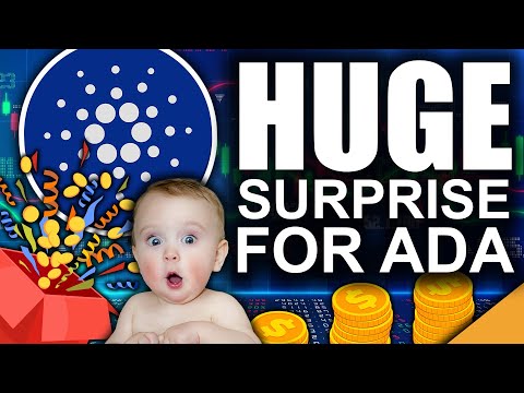 Cardano's HUGE Surprise in 2021 (Latest Exciting ADA Updates)