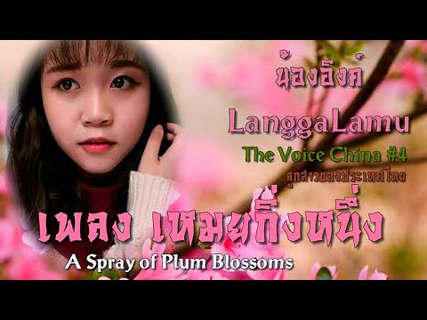 朗嘎拉姆 Langgalamu 一剪梅 อี่เจี้ยนเหมย (เหมยกิ่งหนึ่ง) Yi Jian Mei (A branch of plum blossom)