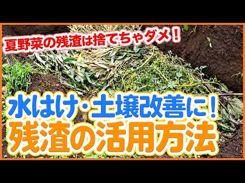【土づくり】夏野菜の残渣を有効活用！水はけ・土壌改善に役立つ使い方を解説【シェア畑】【農園ライフ】