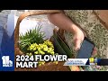 Dalencia shows what 2024 Flower Mart has to offer