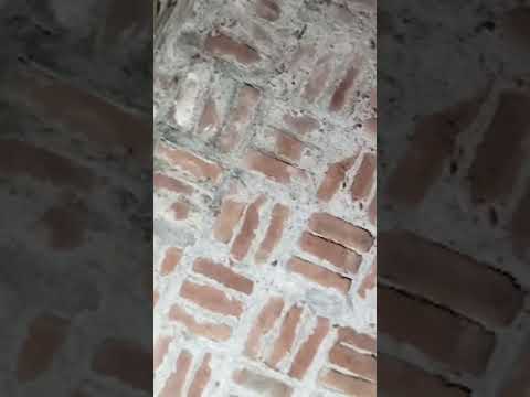 This Explin  is live