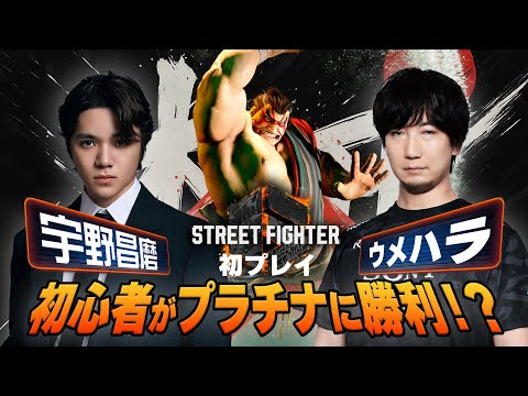 【スト６初プレイ】ウメハラさん直伝！格ゲーの頂点が教える“勝てる本田”を伝授！