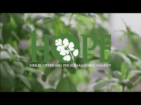 Taziki's Mediterranean Café has launched its HOPE Program, “Herbs Offering Personal Enrichment” in Georgia. Taziki's Mediterranean Café has launched its HOPE Program, “Herbs Offering Personal Enrichment” in Georgia.