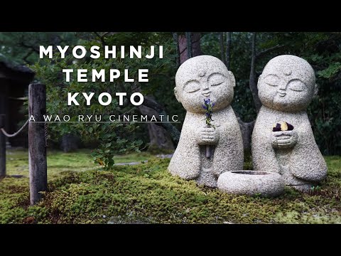 Myoshinji Kyoto | The Temple Of The Enlightened Mind | A Wao Ryu Cinematic