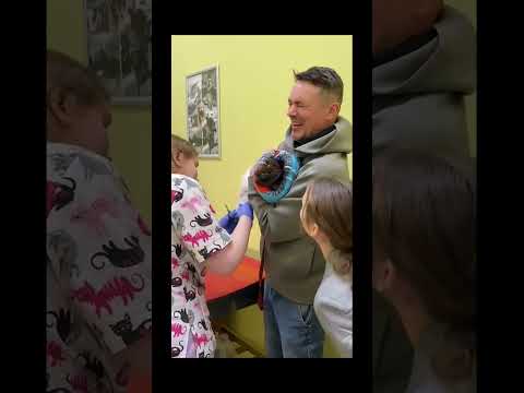 #funnydogs#cute#doglover#doglife#cure#dogshorts#pet#doglife#dogshorts#funnyanimals