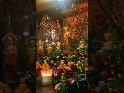 HẬN THÙ KHÔNG THỂ CHẤM DỨT BẰNG HẬN THÙ. CHỈ CÓ TÌNH THƯƠNG MỚI CHẤM DỨT HẬN THÙ