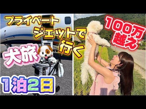 【プライベートジェットで行く】はなまさ癌から1年元気でありがとう癌寛解旅☺️🌱