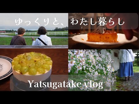 【🍃214話】60代・倹約ばかりでヘキヘキするけれど、それでも私は毎日甘いものを作って食べる/貰い物のシャインマスカットで作るレアチーズケーキ/お安い材料のカボチャプリン/一人と猫7匹の八ヶ岳南麓生活
