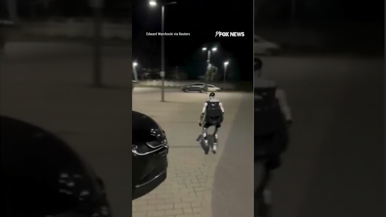 Robot chases WILD BOARS in Poland #foxnews #news #us #fox