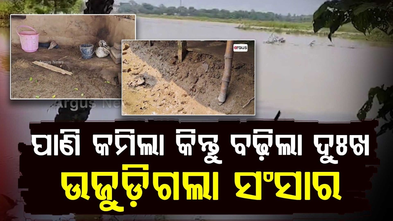 Aftermath Of Subarnarekha Flood: Massive Crop Loss & Devastation In Baliapal & Bhogarai | Argus News