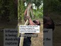 Influencer under investigation over crocodile wrangling - 01:02 min - News - Video