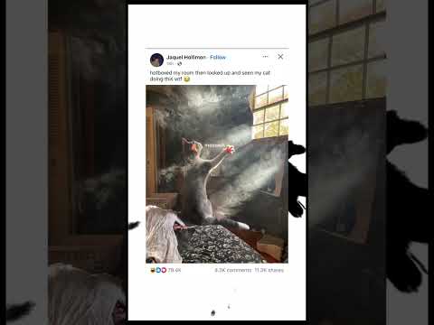 "Blessed are the cats that bring snacks, for they shall be fed plentifully." #facebook