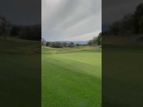 Chip in!? #California #golf #golfshorts #fail #close #pga #youtubeshorts #shorts #swing #golfswing