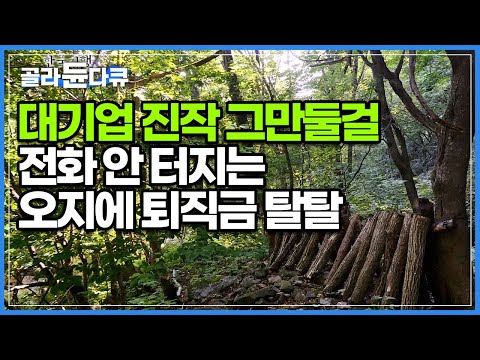 산꼭대기에 은광이 있다는 전설이 전해지는, 딱 3가구 사는 오지에 스스로 들어간 부부 │한국기행│#골라듄다큐