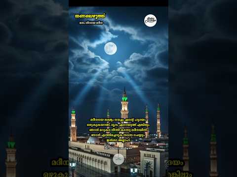 തണലെഴുത്ത് - 245 മനം നിറയെ മദീനാ | #muthnabiﷺ #mrs_rak #madina #foryou #തണലെഴുത്ത് #madhsong