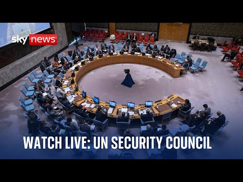 United Nations Security Council | Wednesday 11 December 2024