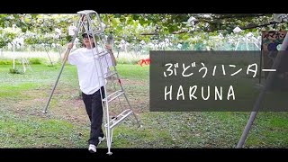 動画サムネイル