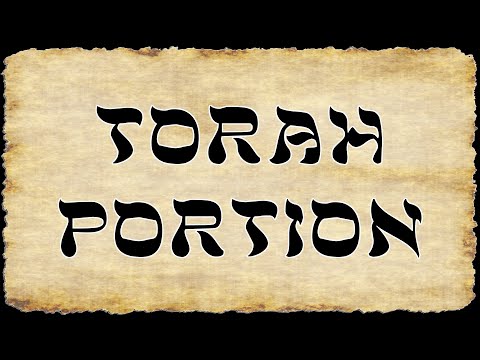 Torah Portion for 10/25/2025