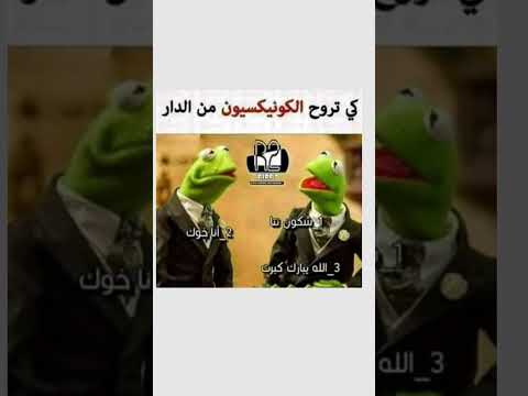 ميمز #20