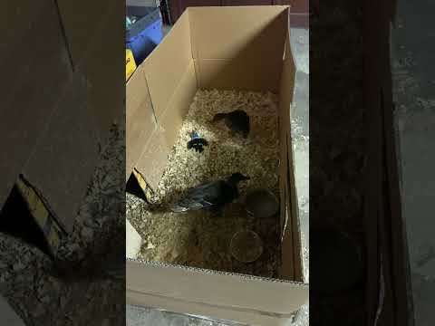 Final Day: One Last Cozy Box Chill Before Freedom