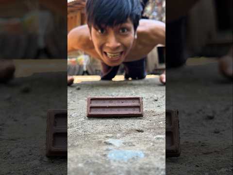 Self satisfaction,  The millipede cannot refuse a whole bar of chocolate #shorts #millipede