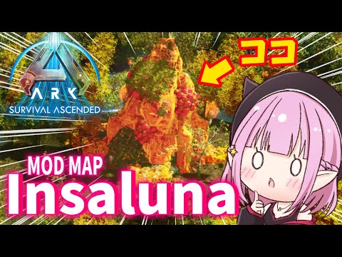 thumbnail_ty5NomrwqHM