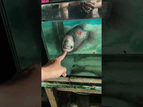 Tuổi thơ của thế hệ 8x 9x