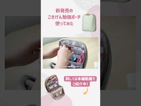勉強道具がコンパクトに収納できるポーチが便利すぎた… #勉強 #文房具 #staionery