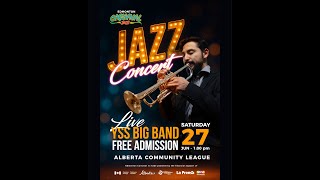 Edmonton Jazz  Free Concert Featuring YSS Orchestra