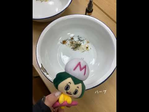 【松戸市】まちのプランターお手入れ会（2025年3月）