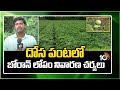 Cucumbar Cultivation | దోస పంటలో బోరాన్ లోపం నివారణ చర్యలు | Matti Manishi | 10TV News