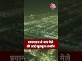 Prayagraj से माघ मेले की आई खूबसूरत तस्वीर #shortsvideo #aajtak #uttarpradeshnews #prayagrajnews