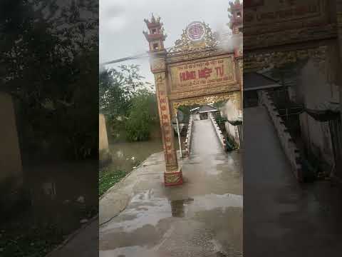 ngày 28 tháng 10, 2025