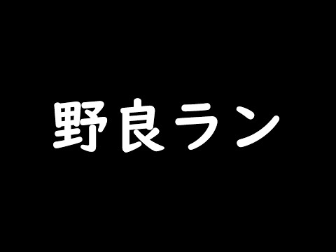 【第五人格】大きく環境変わりそうだね、野良昼ランクマいくぞーー！