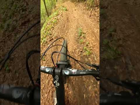 Blind riding for the first time on this trail ended up with a funny fail. #mtb #downhill #shorts