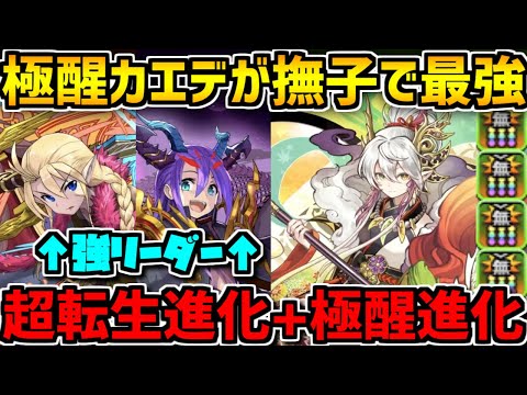 【強キャラ多数】極醒カエデに超転生フレイ+ロキも！1月14日の進化情報完全解説！【パズドラ】