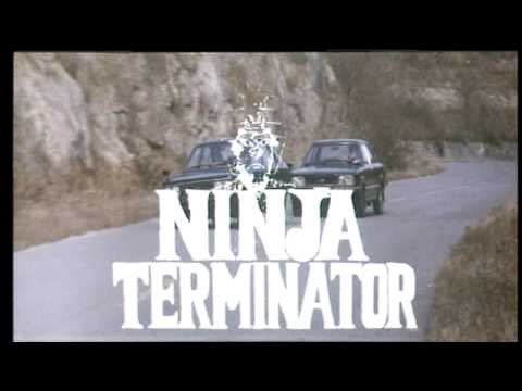 Ninja Terminator'