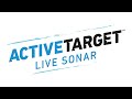 Lowrance ActiveTarget; Live Sonar Transducer