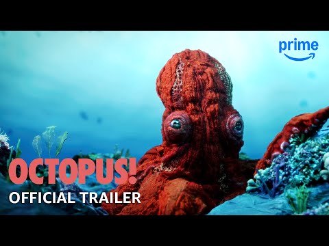 Octopus!'