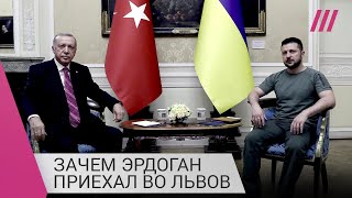 Личное: Мост между Россией и Украиной: зачем Эрдоган провел встречу с Зеленским и генсеком ООН